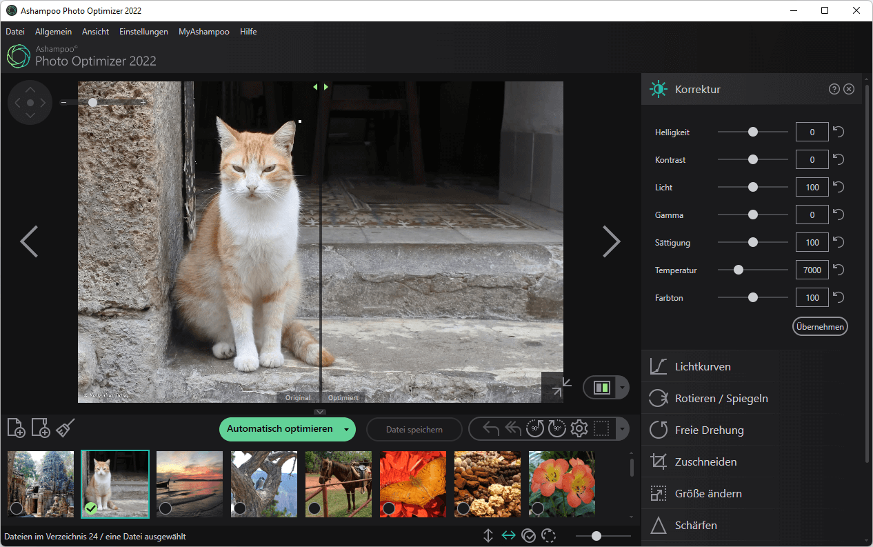 Ashampoo® Photo Optimizer 2022