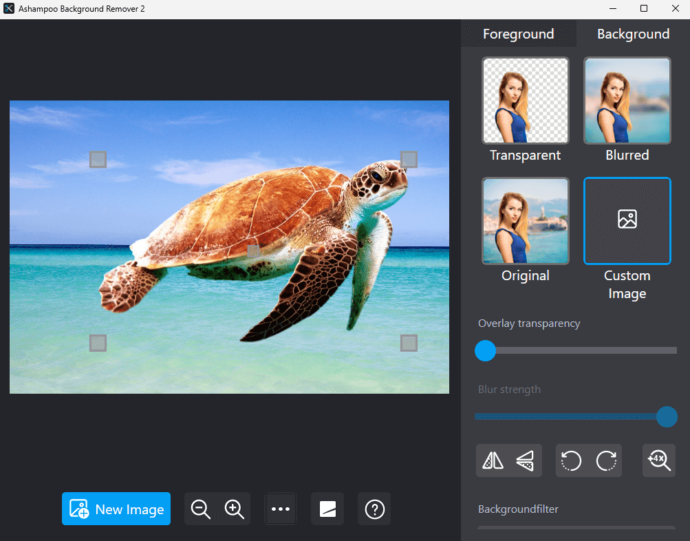 Ashampoo Background Remover 2 - Image background