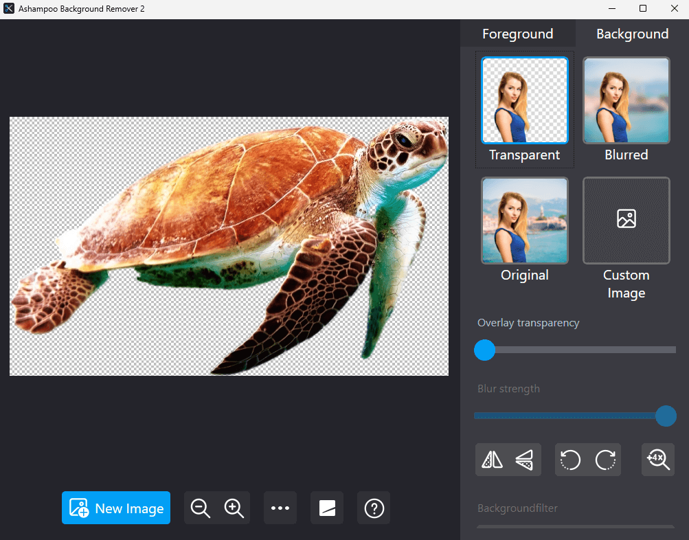 Ashampoo Background Remover 2 - Transparent background