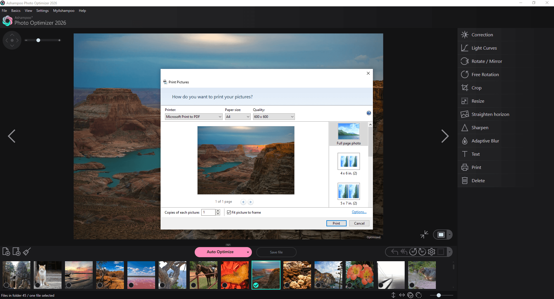 Photo Optimizer 2026 - Print