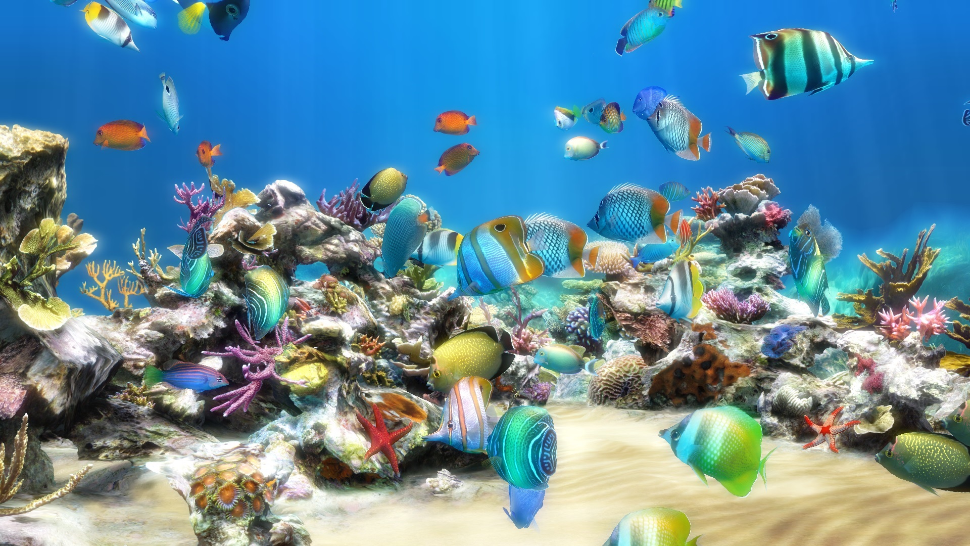 dream aquarium screen saver