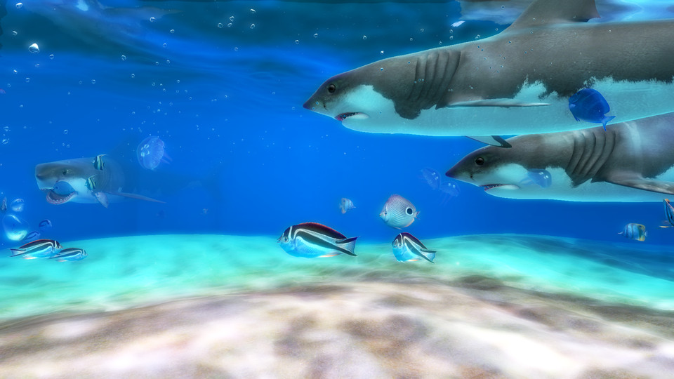 Live Aquarium HD 2 - Screenshots