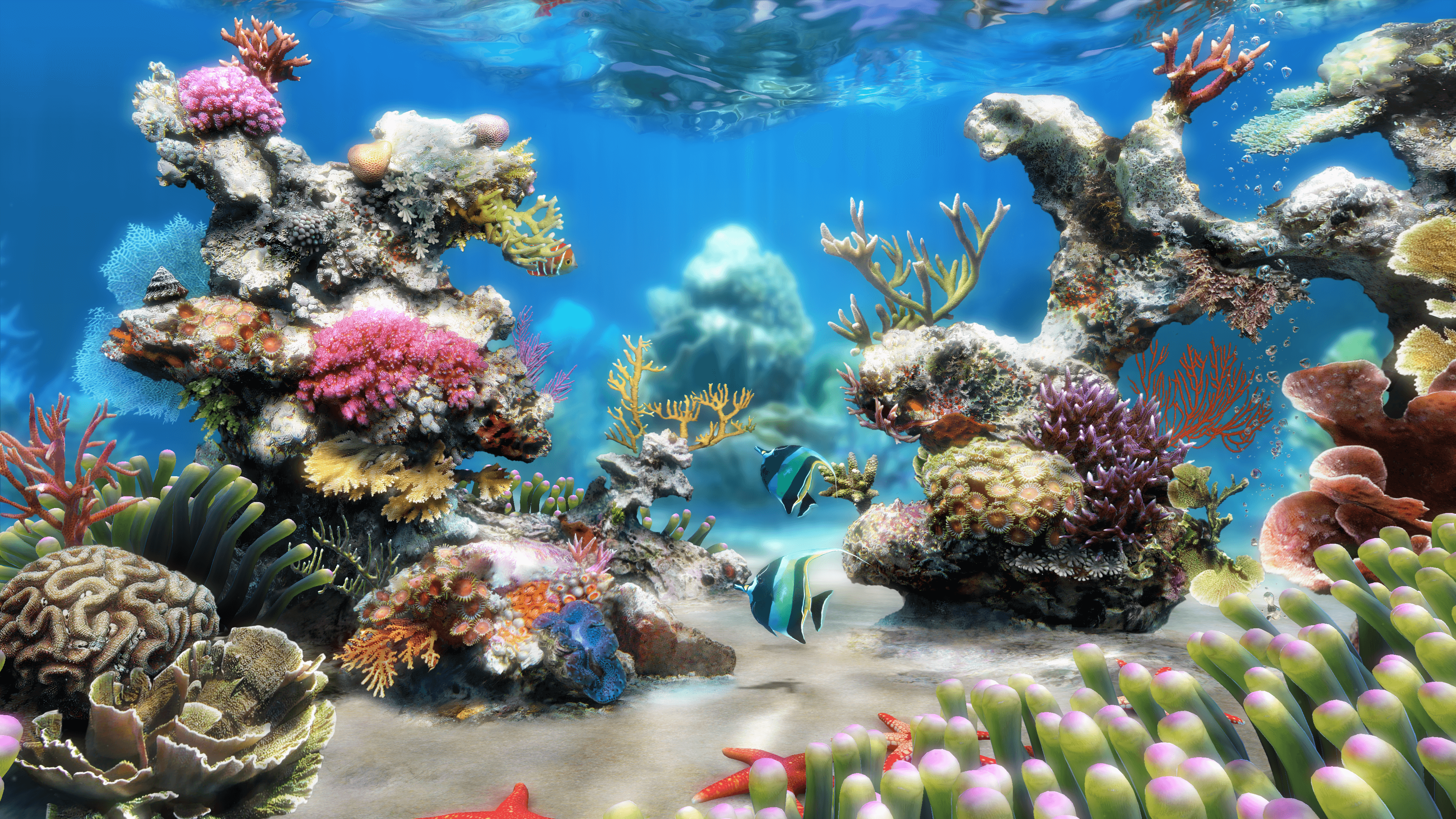 Live Aquarium 4K - Reef