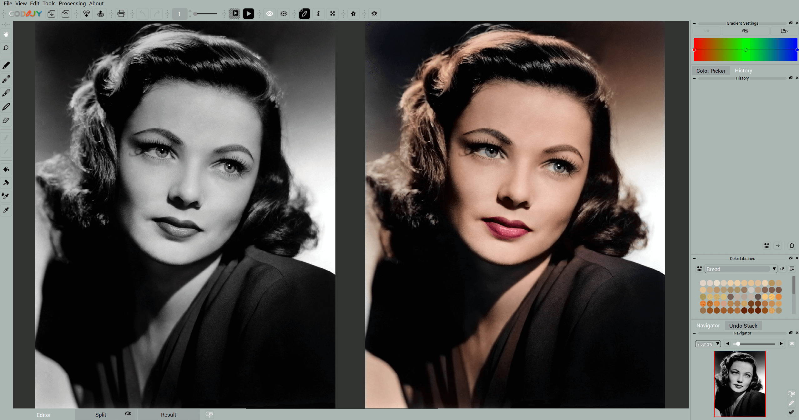 CODIJY Colorizer PRO - Ergebnis 