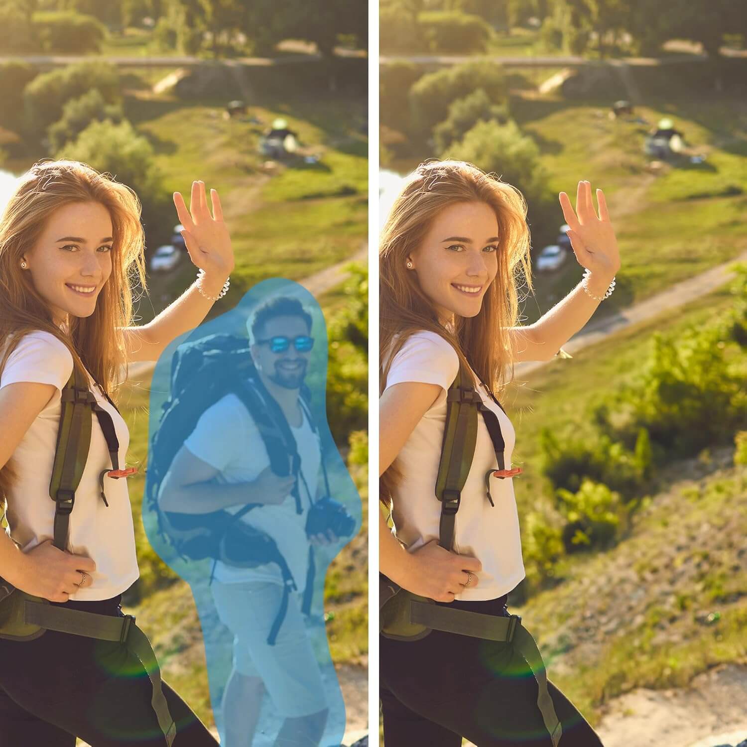 Adobe Photoshop + Premiere Elements 2025