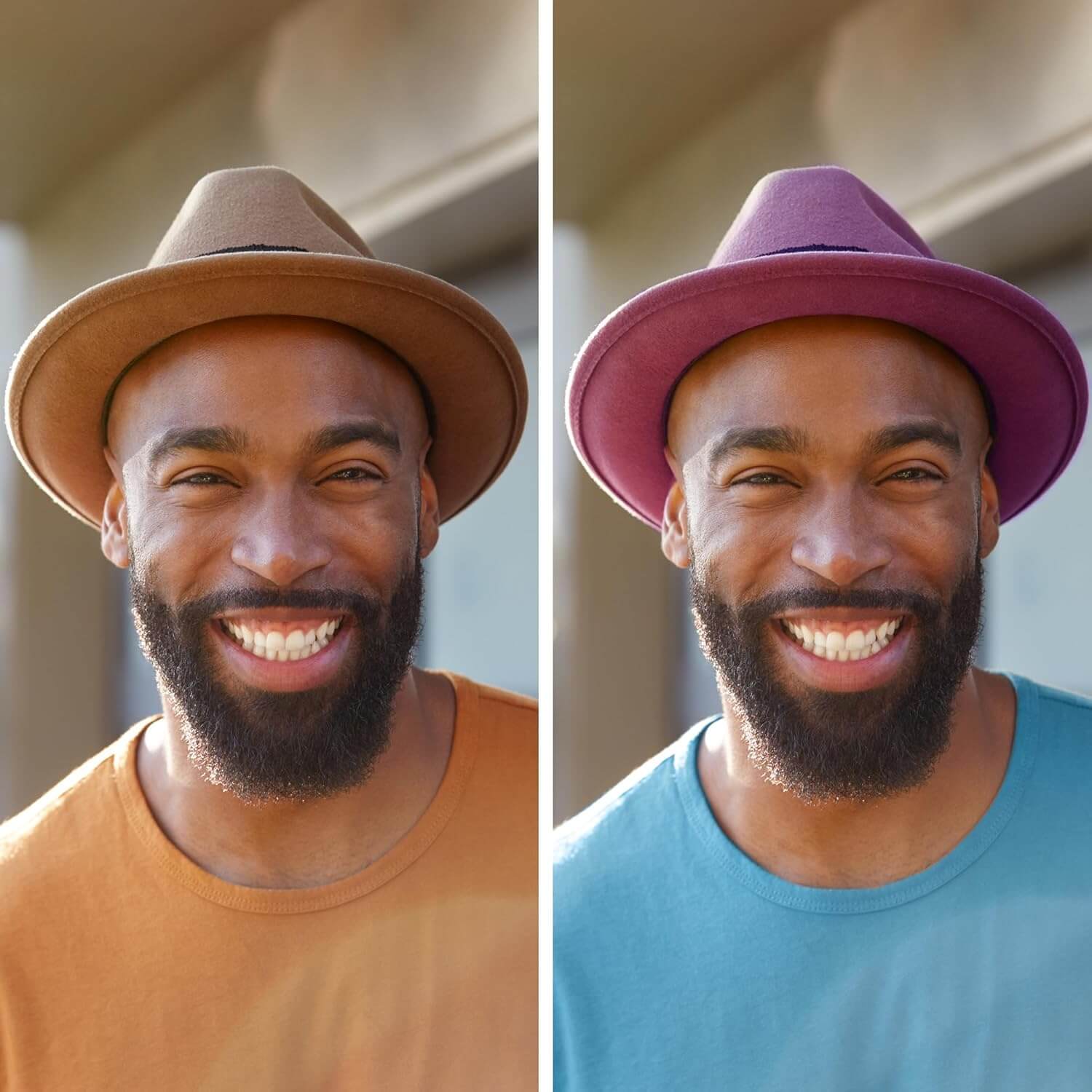 Adobe Photoshop + Premiere Elements 2025