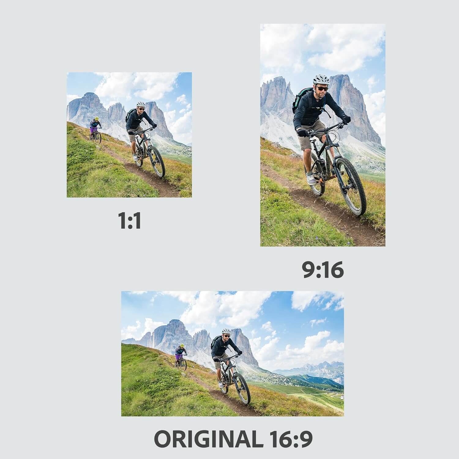 Adobe Photoshop + Premiere Elements 2025