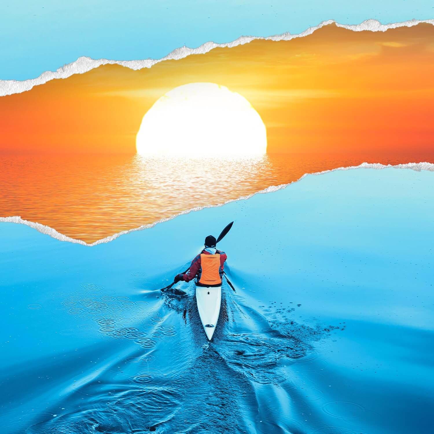 Adobe Photoshop + Premiere Elements 2025