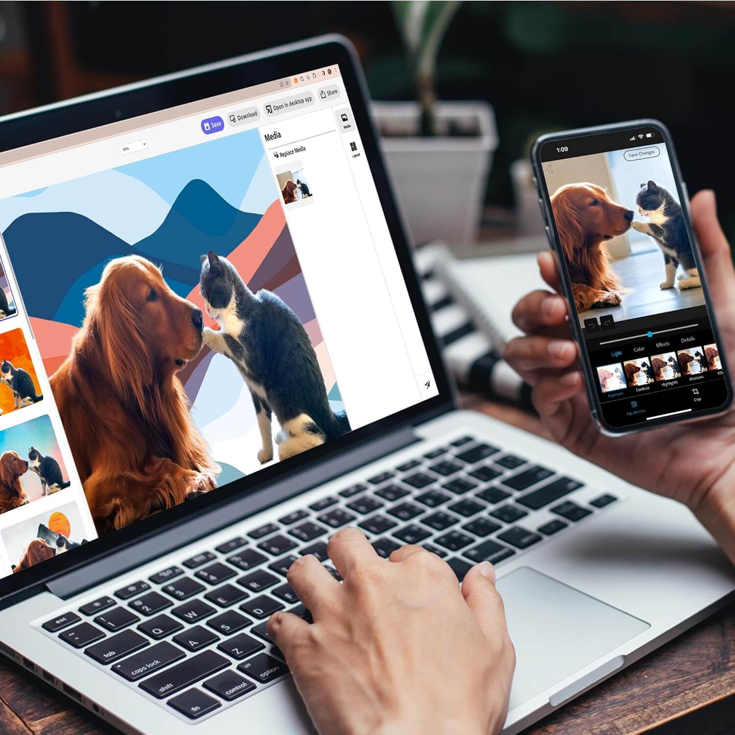 Adobe Photoshop + Premiere Elements 2025
