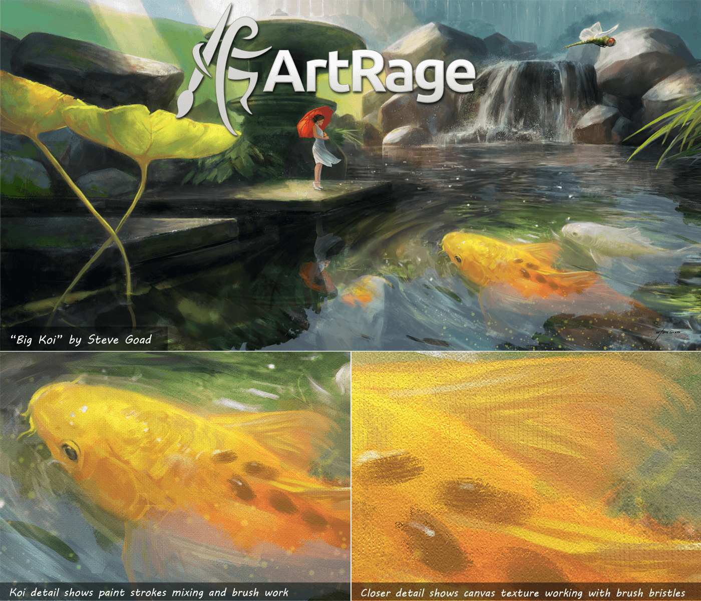 Artrage Vitae - Koi