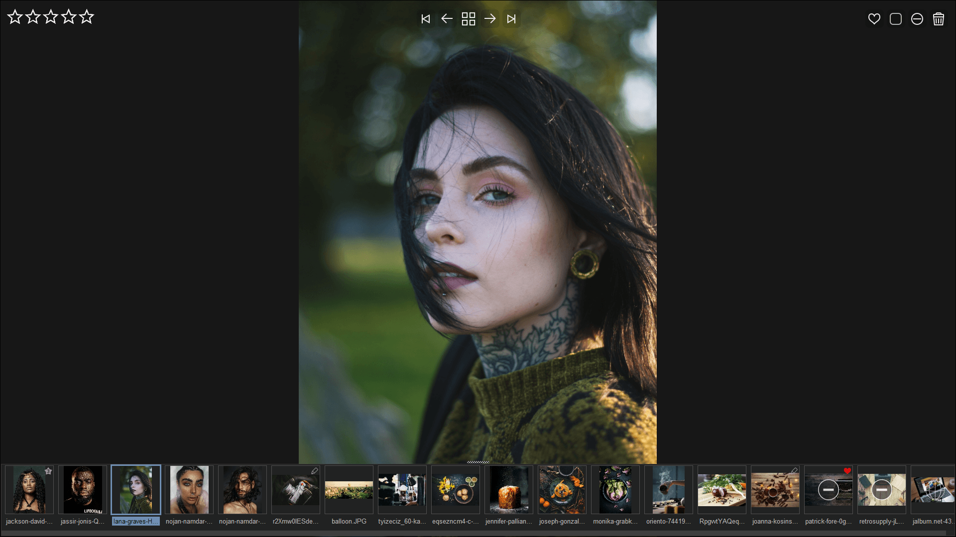 jAlbum PRO - Review mode