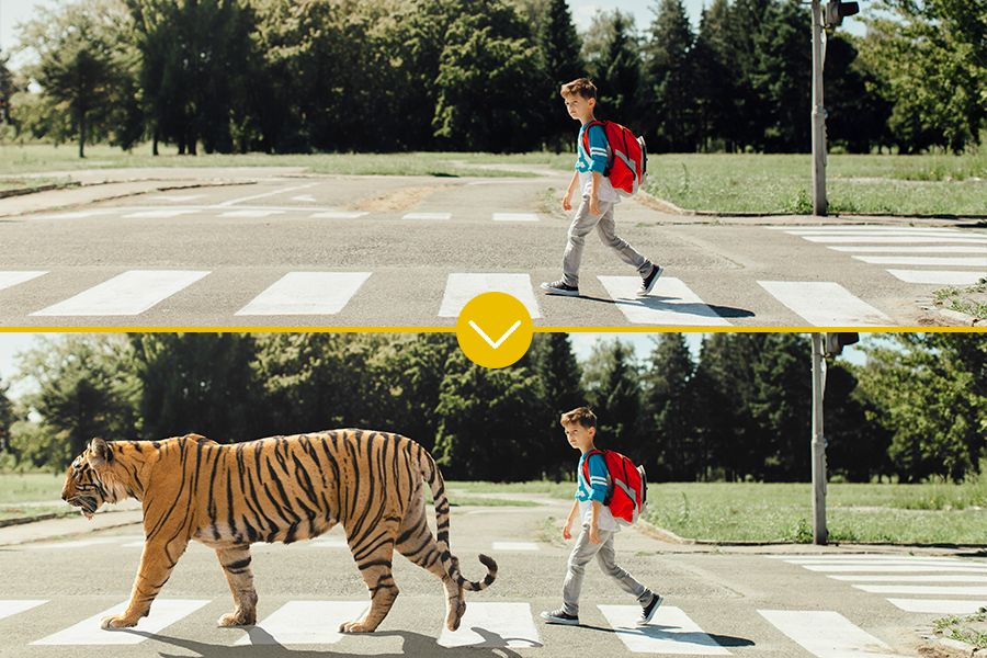 Screenshot Tiger and boy