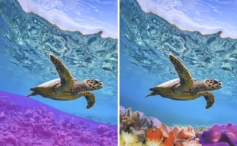 Adobe Photoshop Elements 2026 - Example  - 2