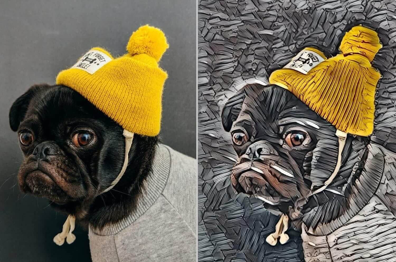 (Dog)