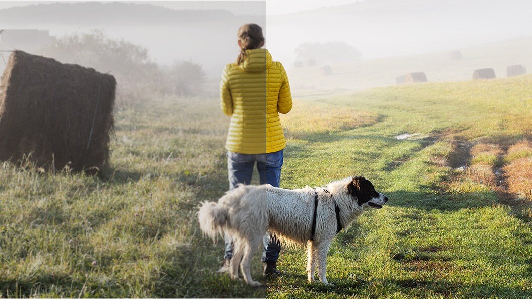 Corel PaintShop Pro 2023 - Example