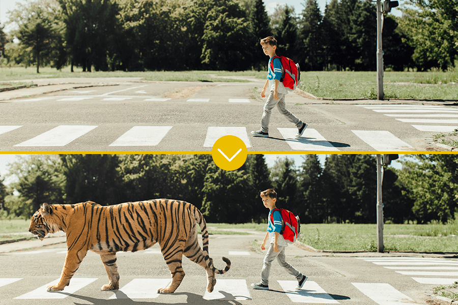 Capture d'écran garçon avec tigre