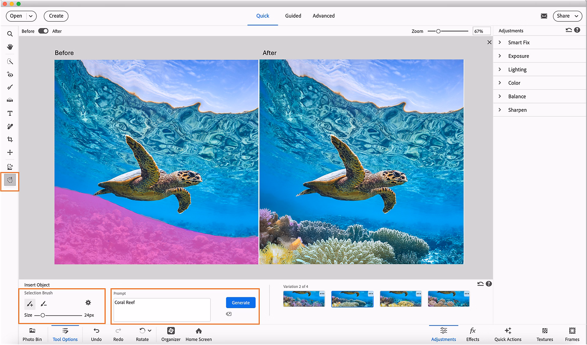 Adobe Photoshop & Premiere Elements 2026 - 6
