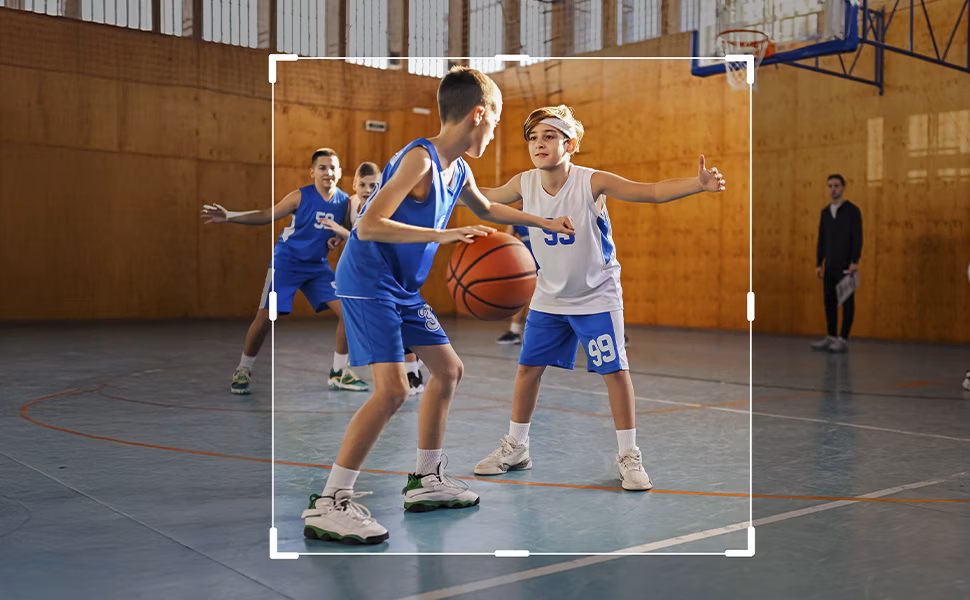 Adobe Photoshop & Premiere Elements 2026 - 10