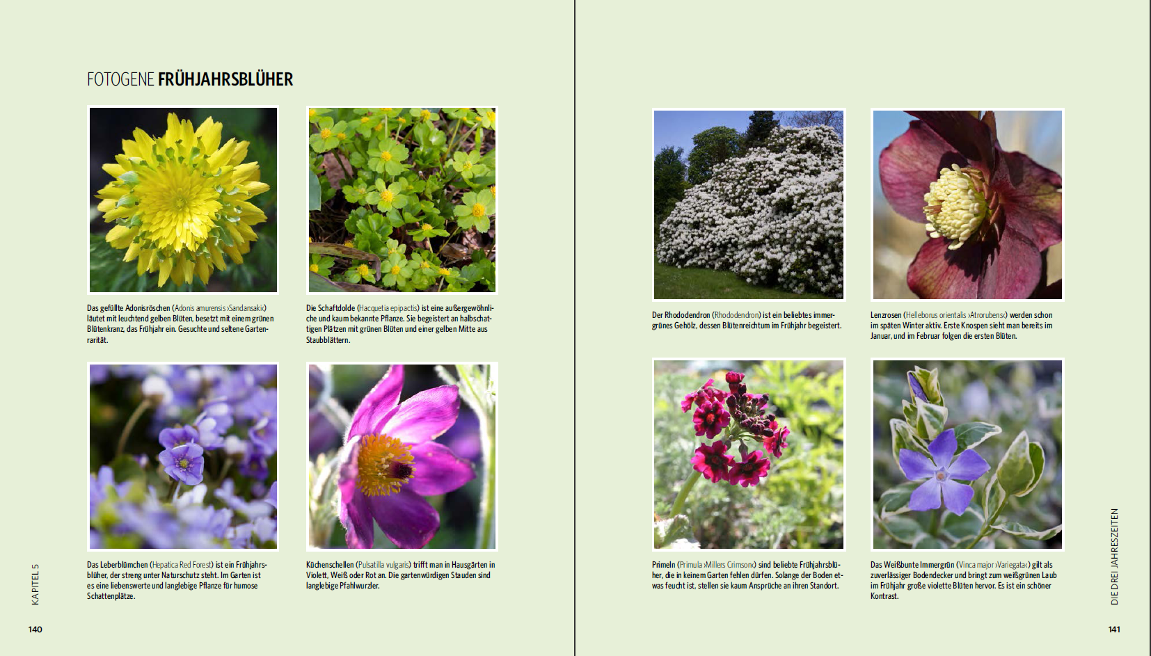 Garten-Fotografie - Blumen und pflanzen perfekt fotografieren
