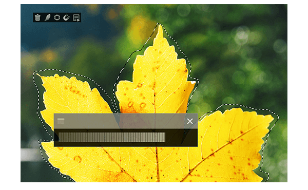 Screenshot leaf