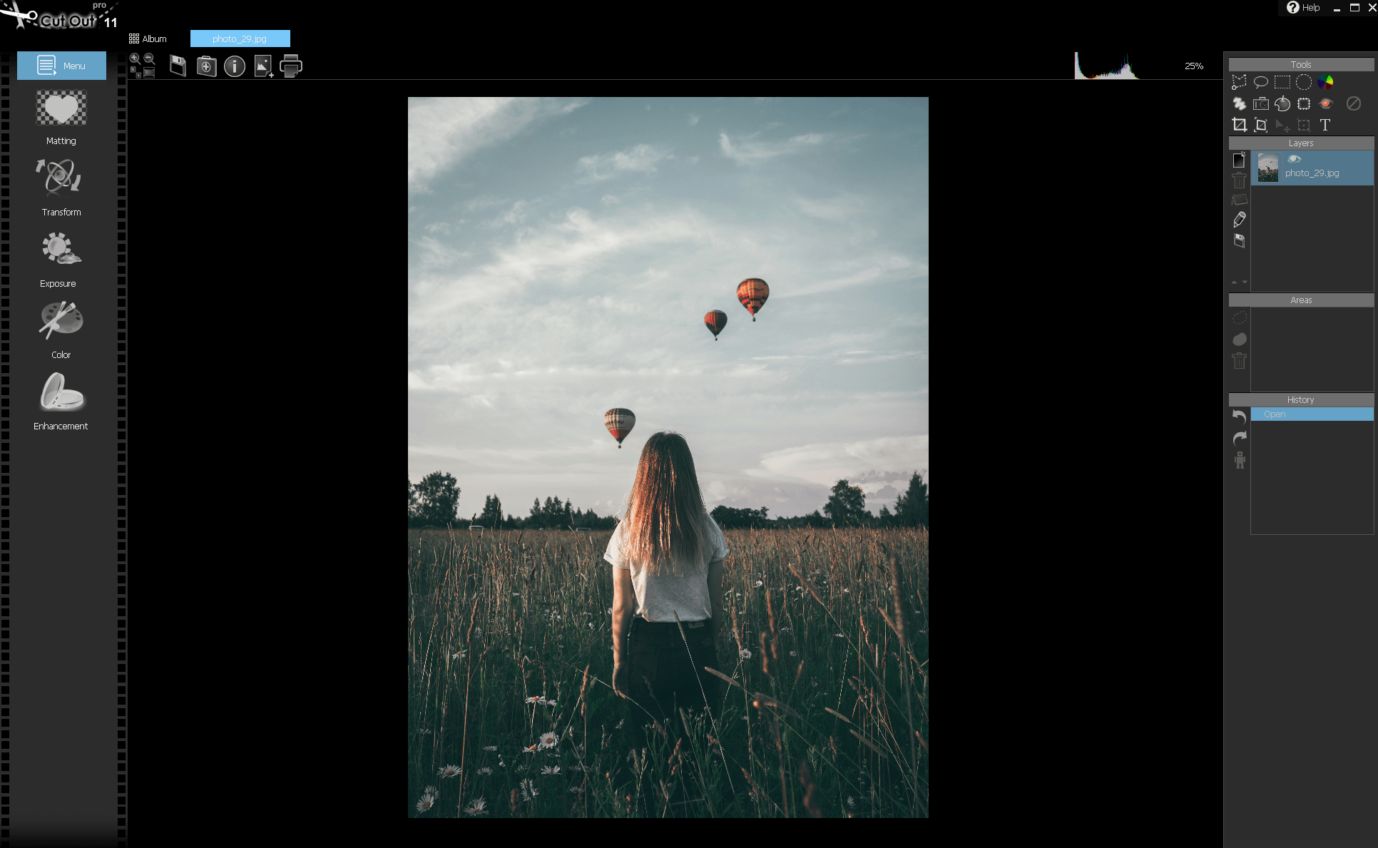 CutOut 11 Professional - Start