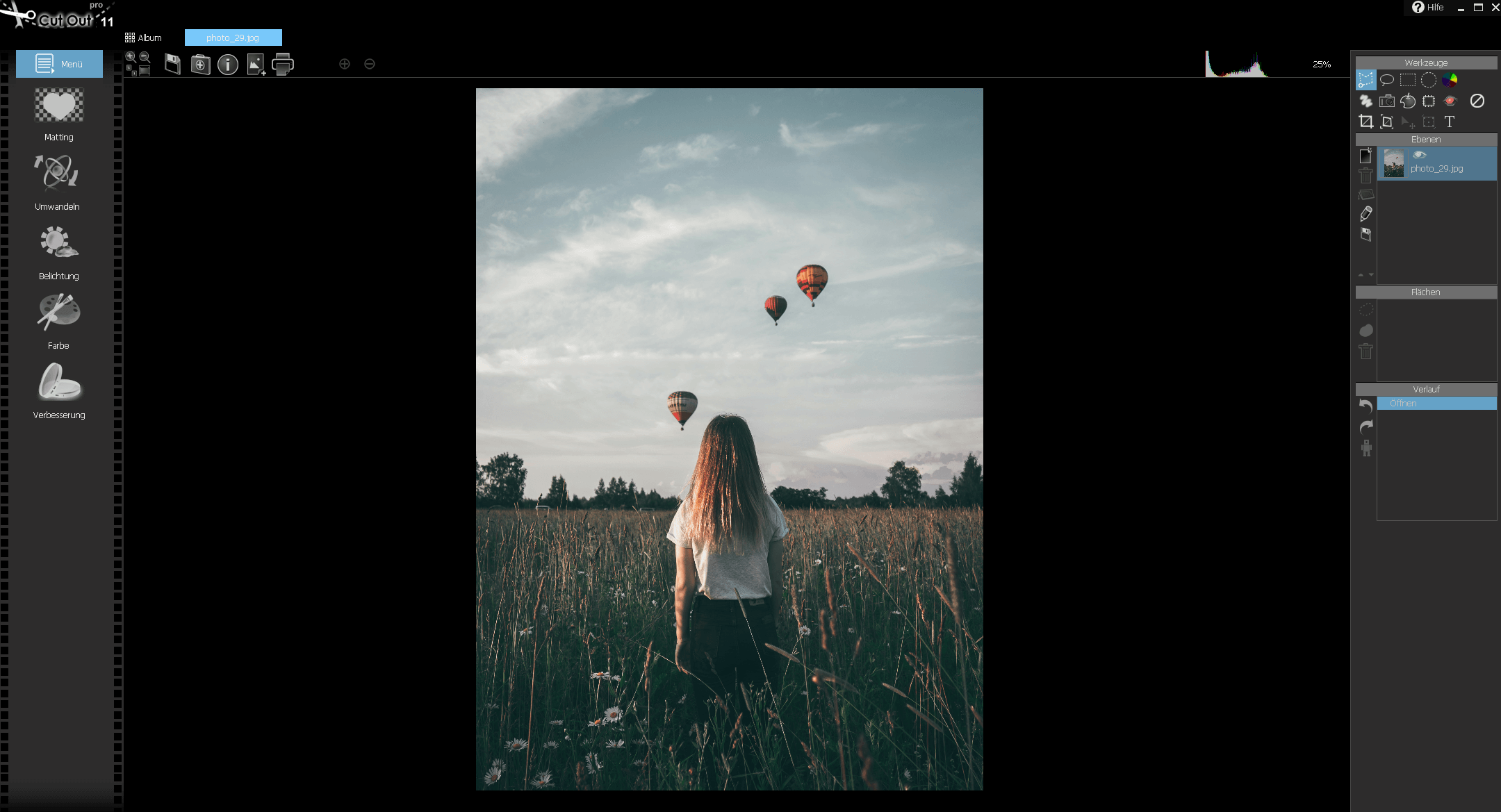 CutOut 11 Professional - Start