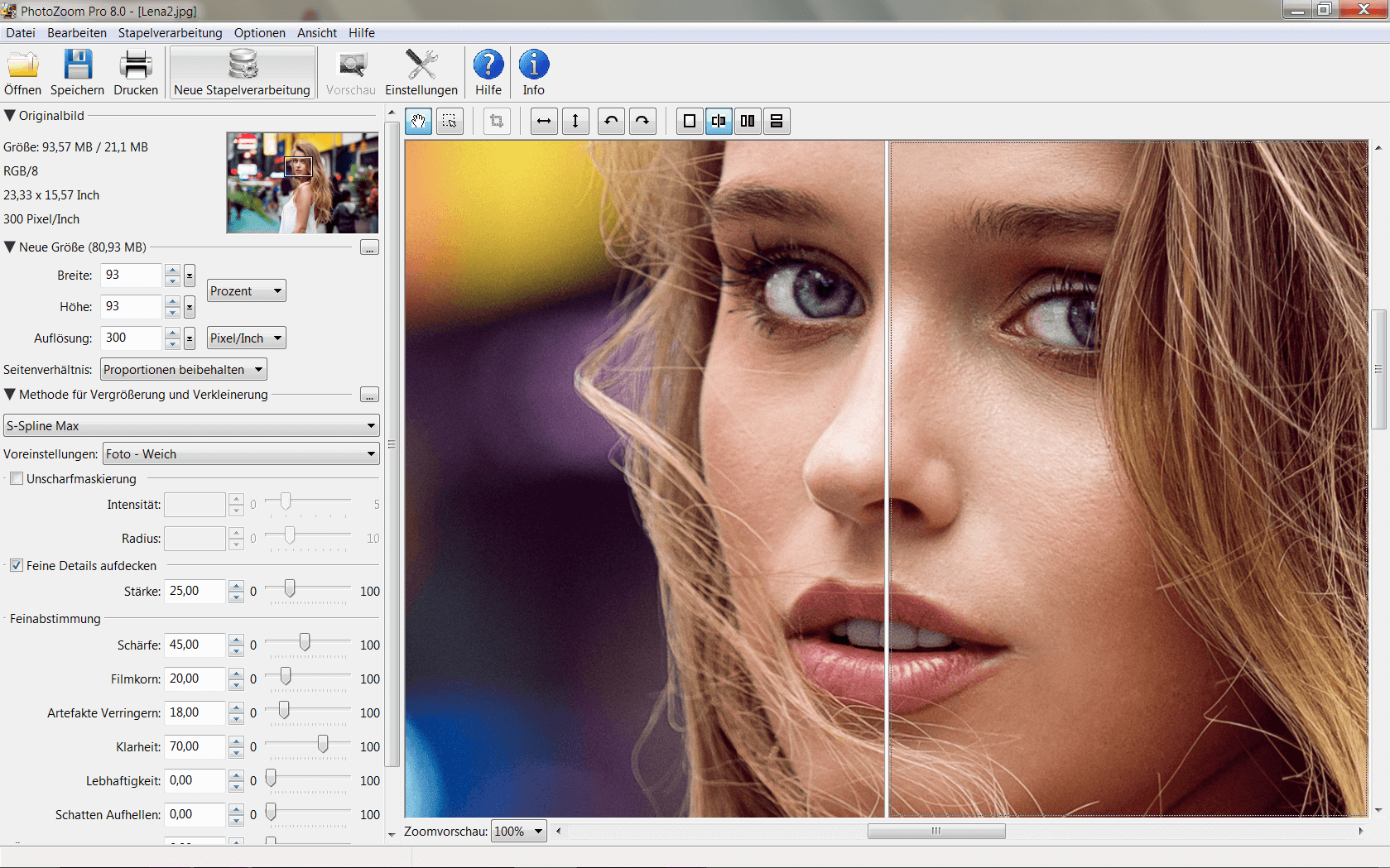 Franzis PhotoZoom 8 Professional