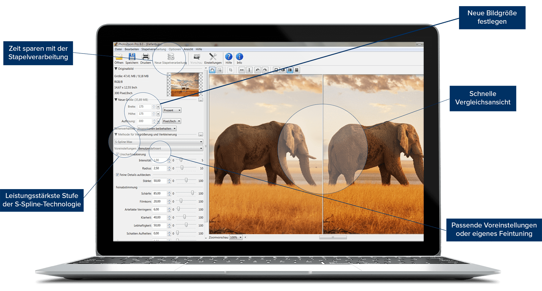 Franzis PhotoZoom 8 Professional