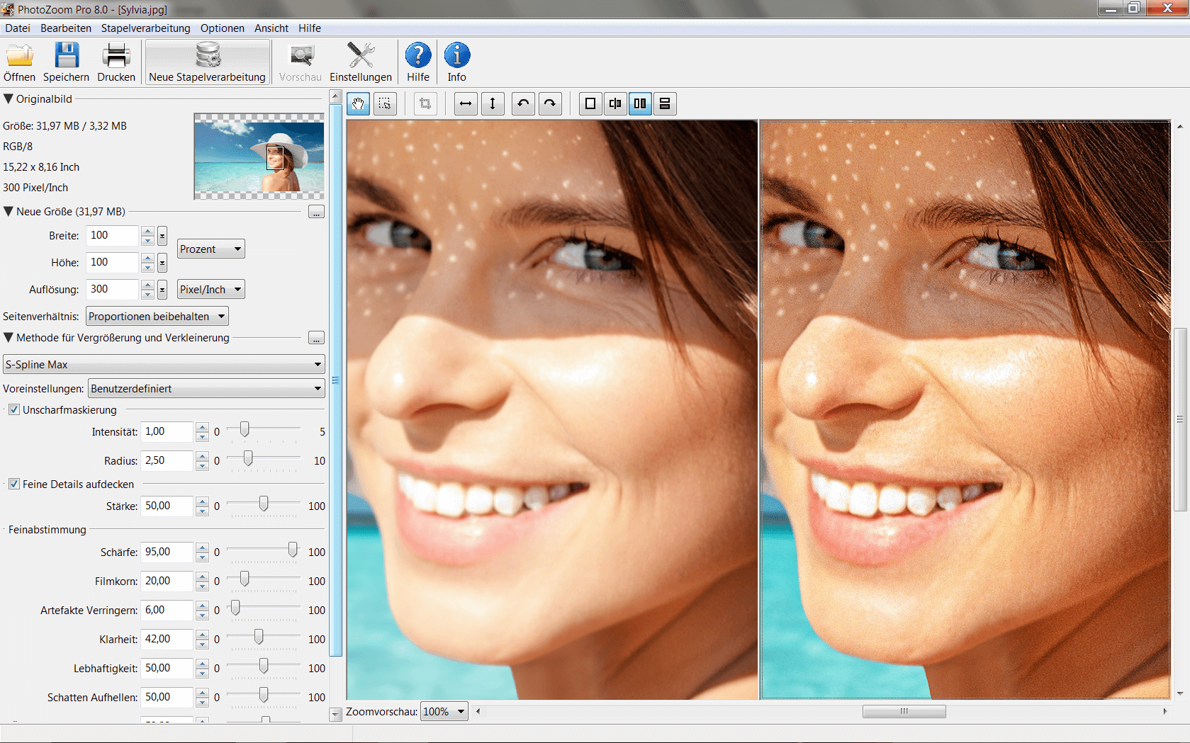 Franzis PhotoZoom 8 Professional