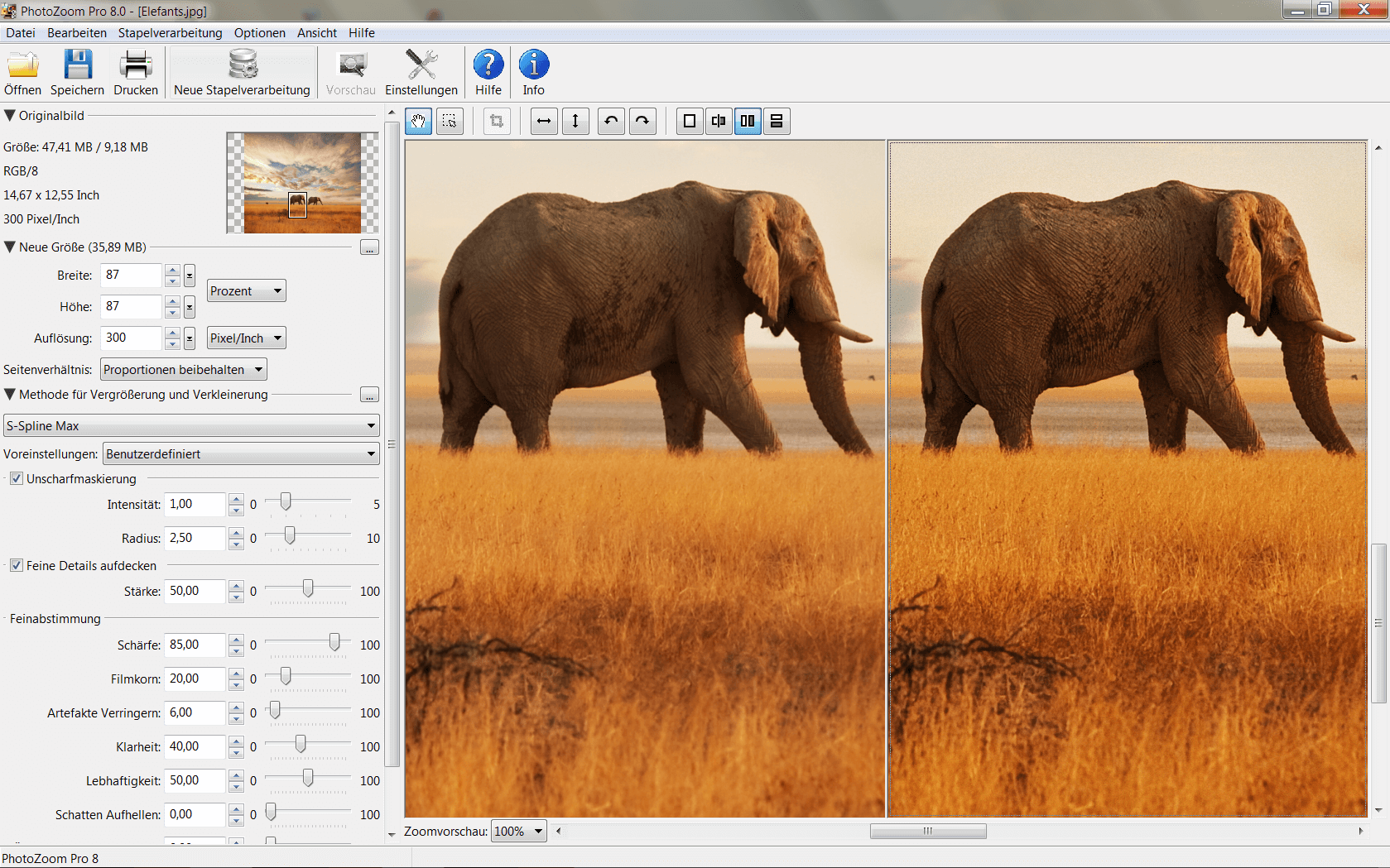Franzis PhotoZoom 8 Professional