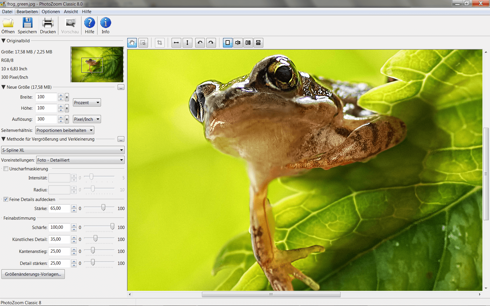 Franzis PhotoZoom 8 Professional