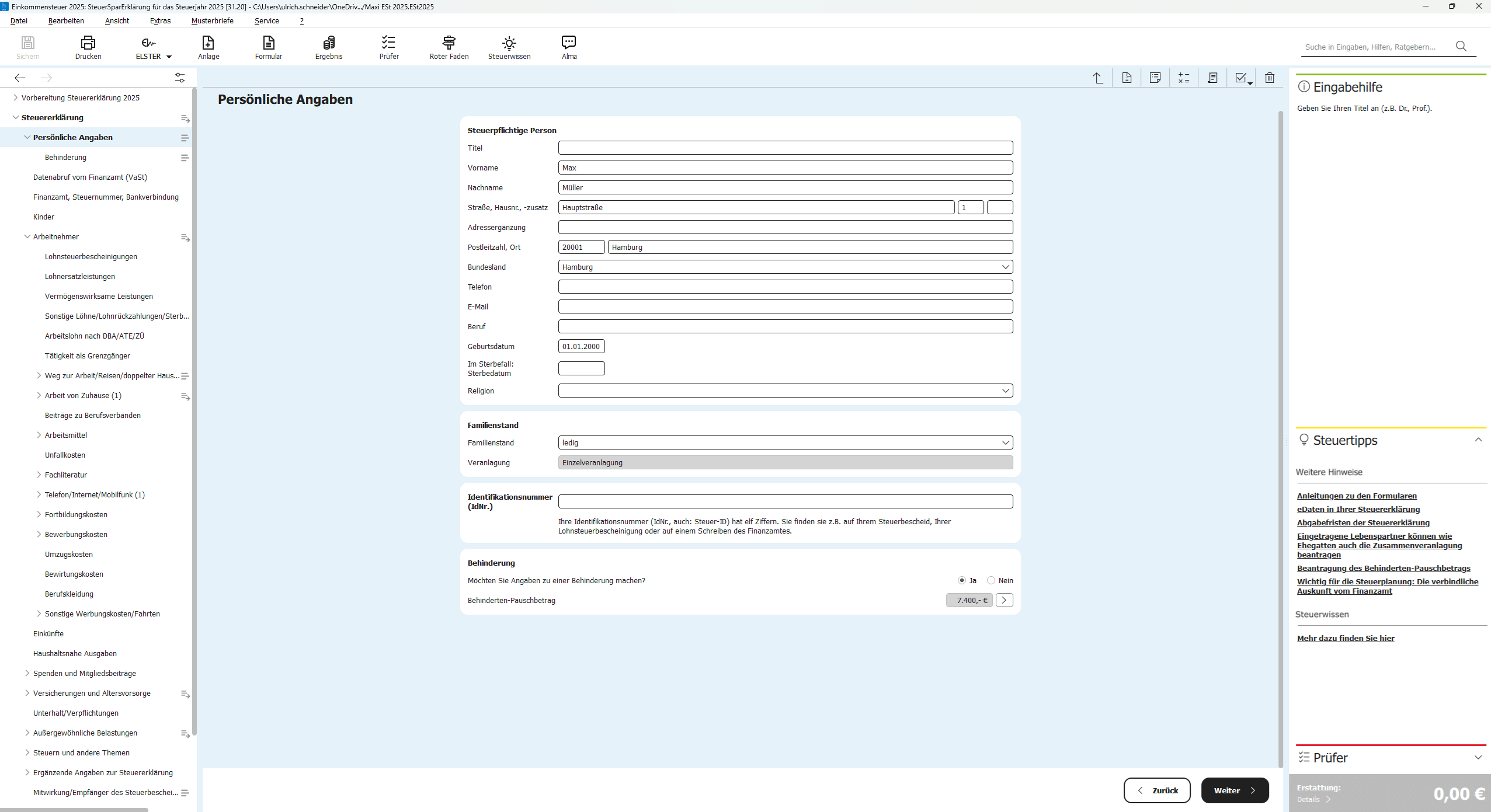 SteuerSparErklärung 2026 - Menü