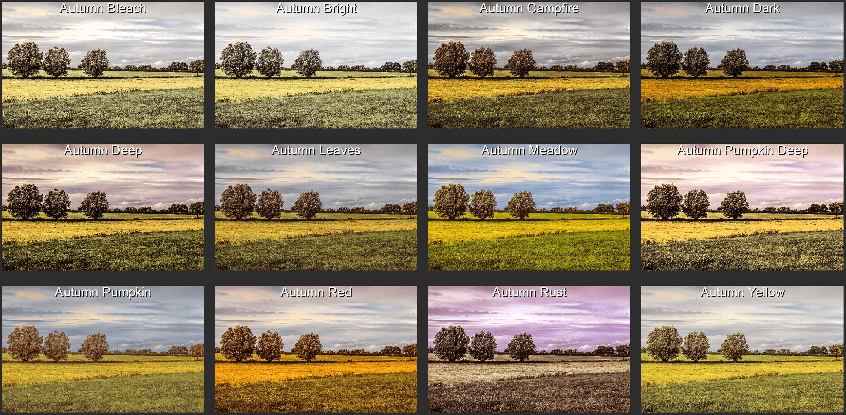 LUT Style Pack - Autumn 