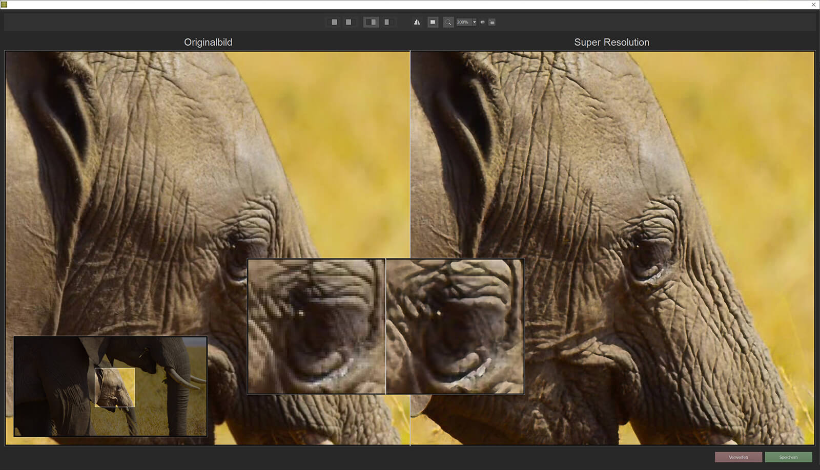 ZOOM Video #1 Professional - Screenshot Elephant
