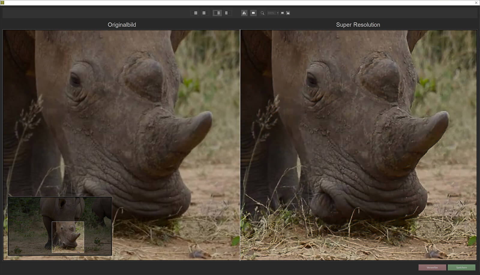 ZOOM Video #1 Professional - Screenshot Rhino