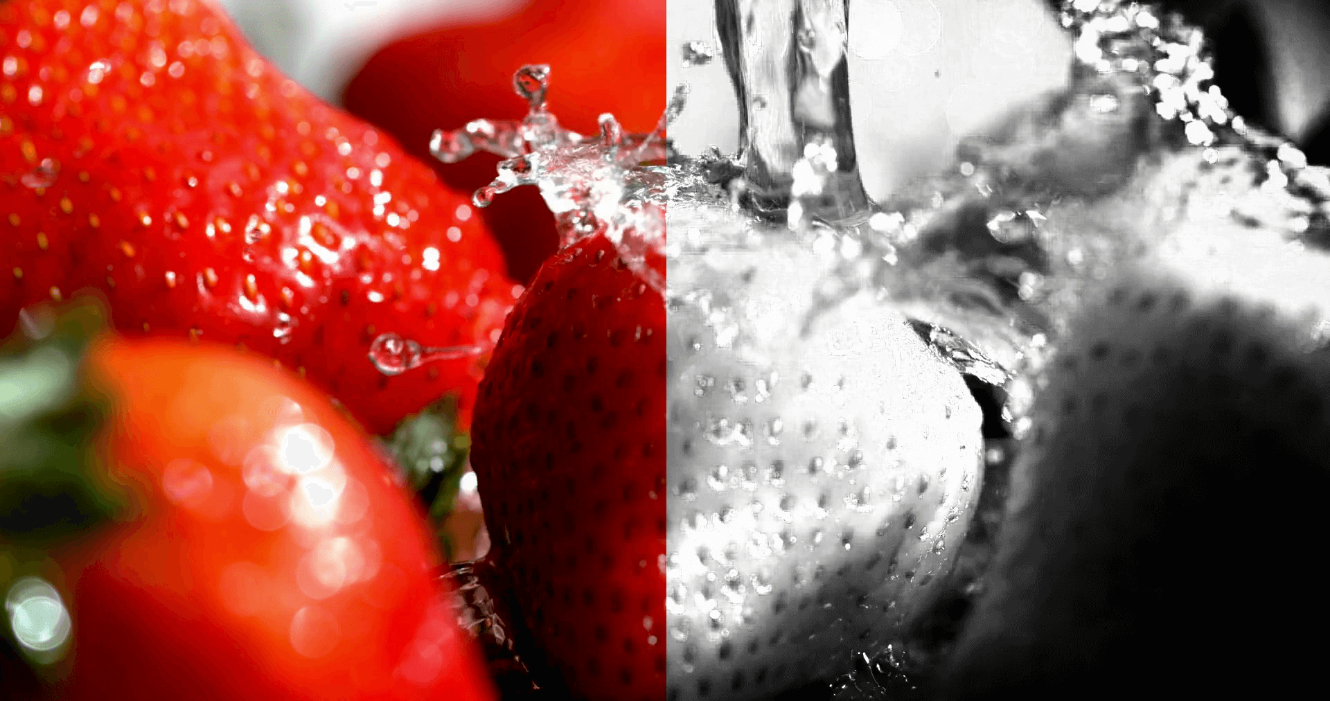BLACK & WHITE Video #1 professional - Erdbeeren 