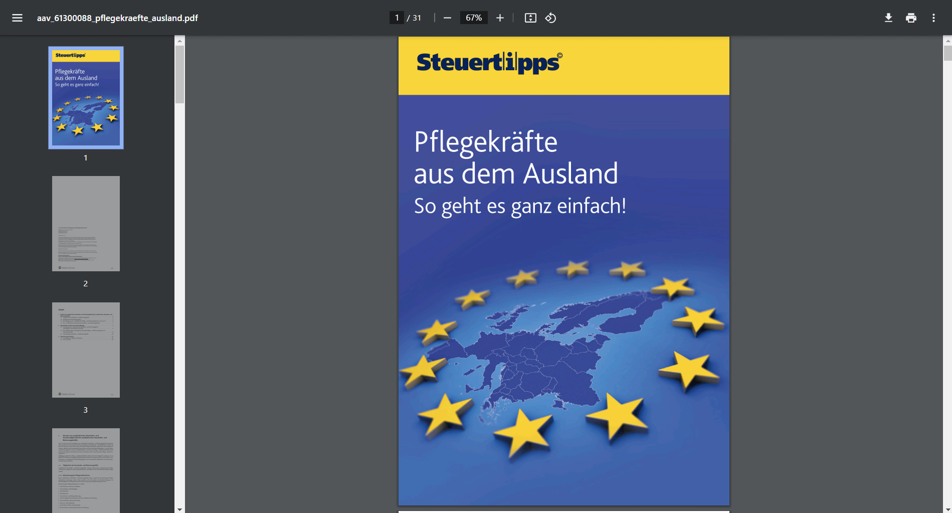  Pflegekräfte aus dem Ausland - ebook