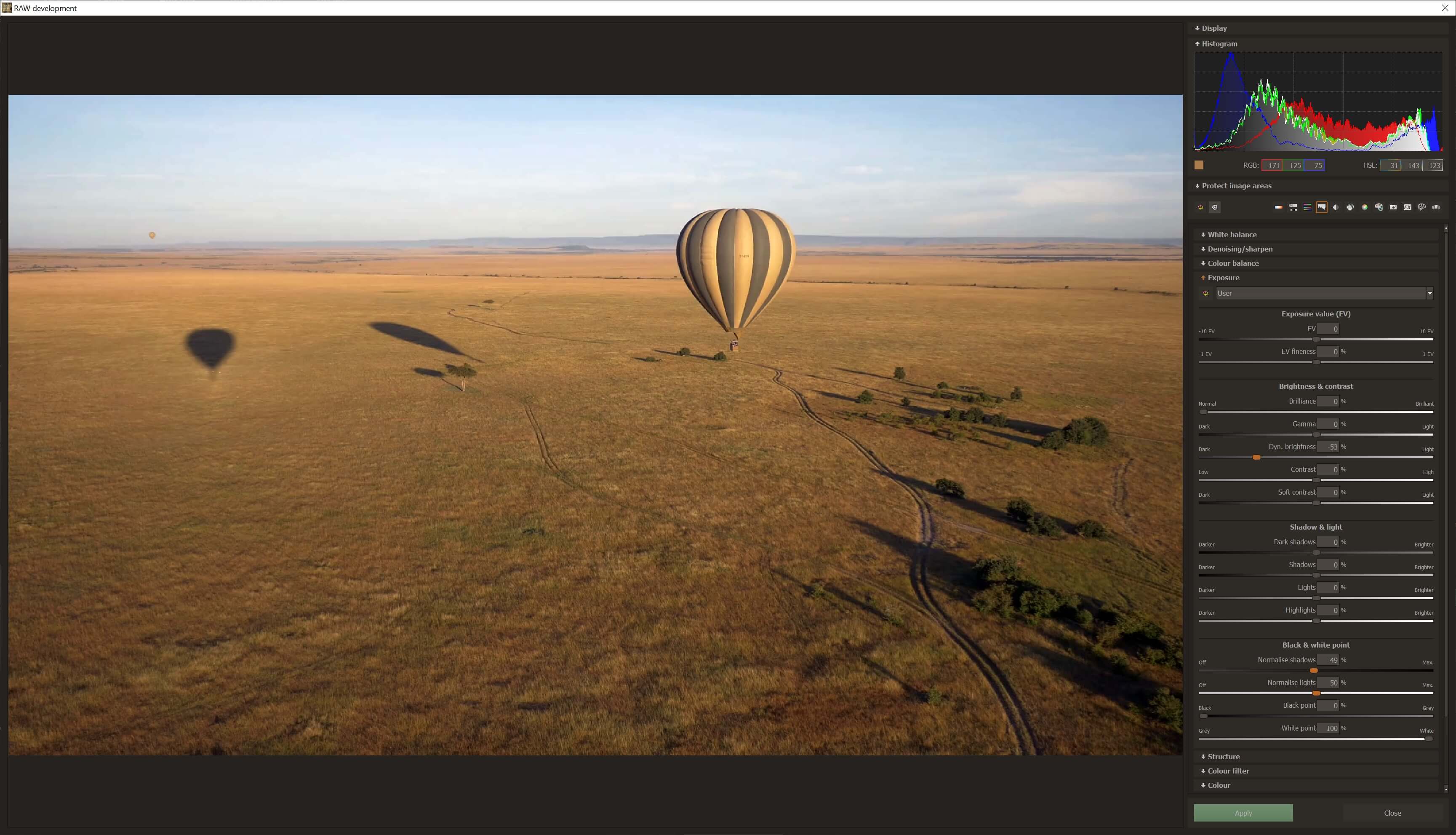 ANALOG Video #2 professional - RAW