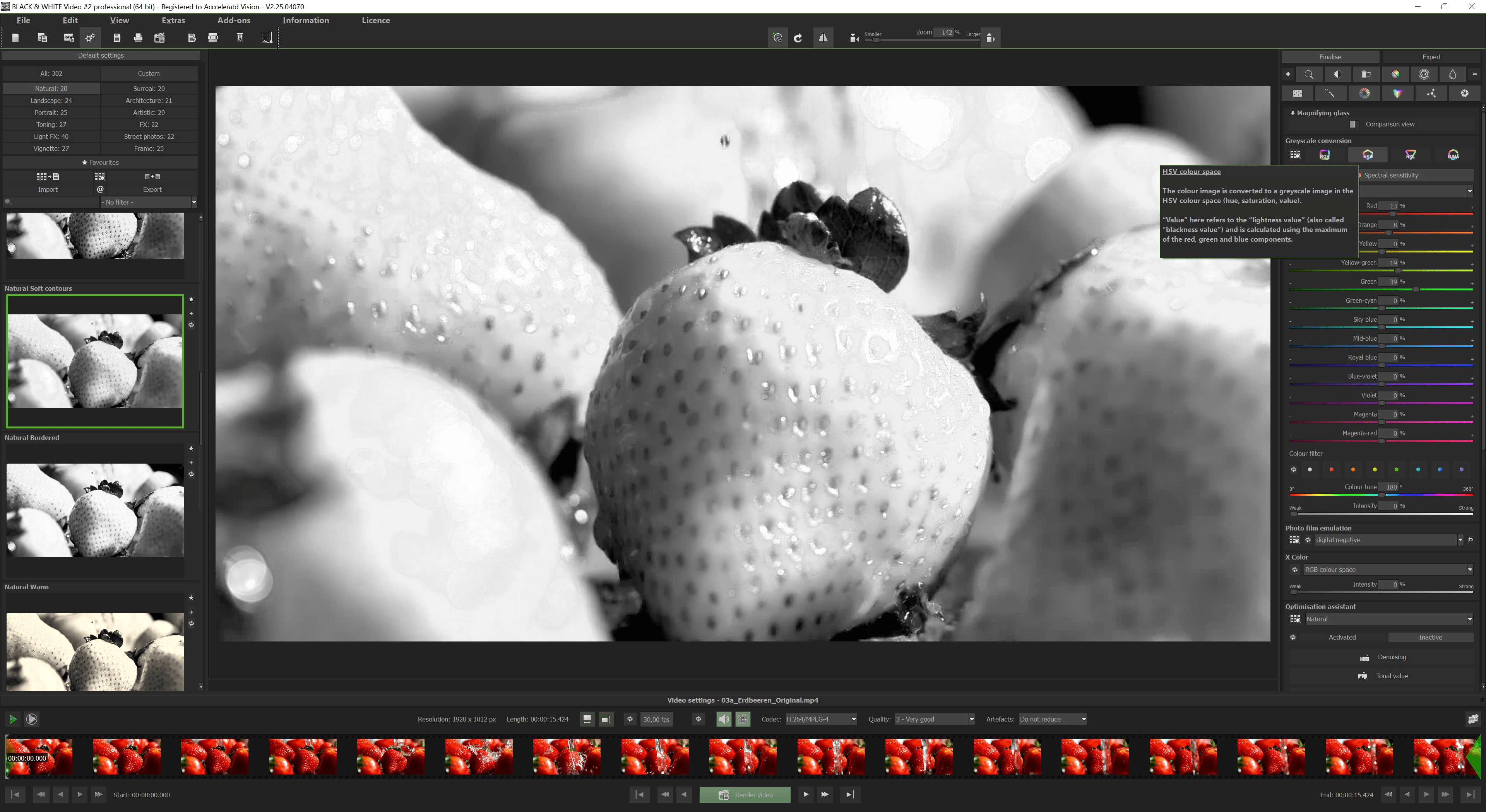BLACK & WHITE Video #2 professional - Grey conversion