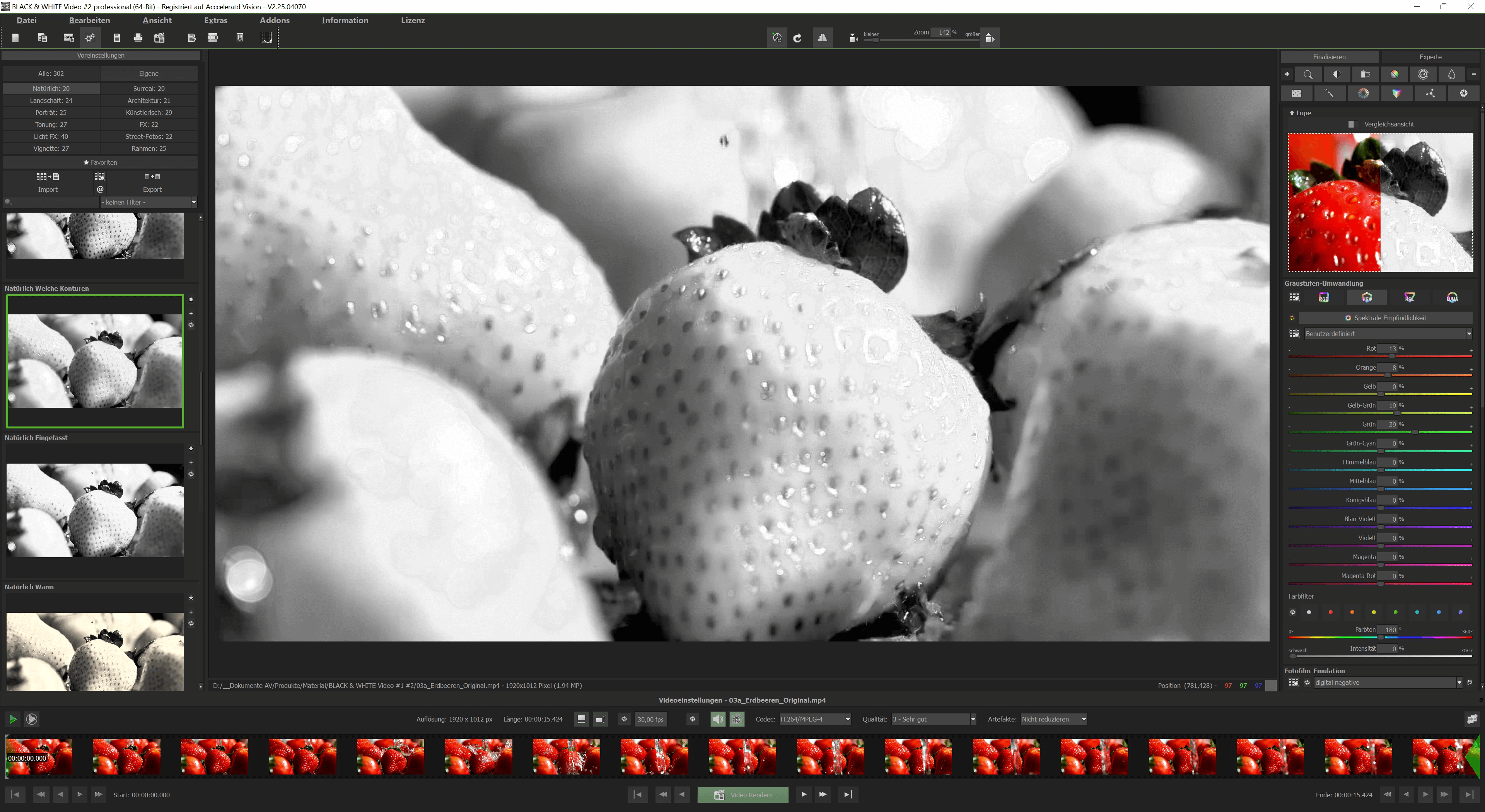 BLACK & WHITE Video #2 professional - Grau 