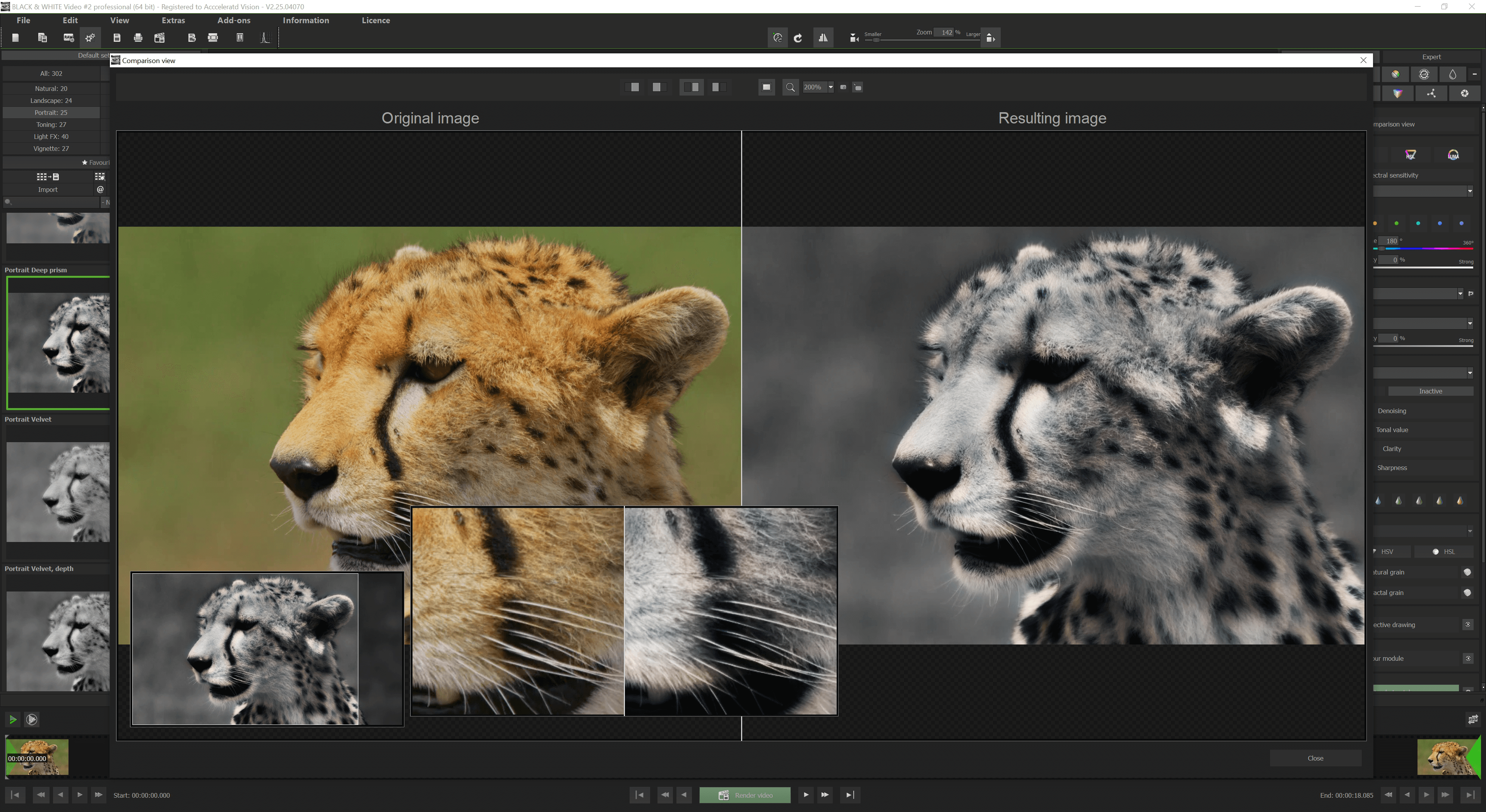 BLACK & WHITE Video #2 professional - Compare window