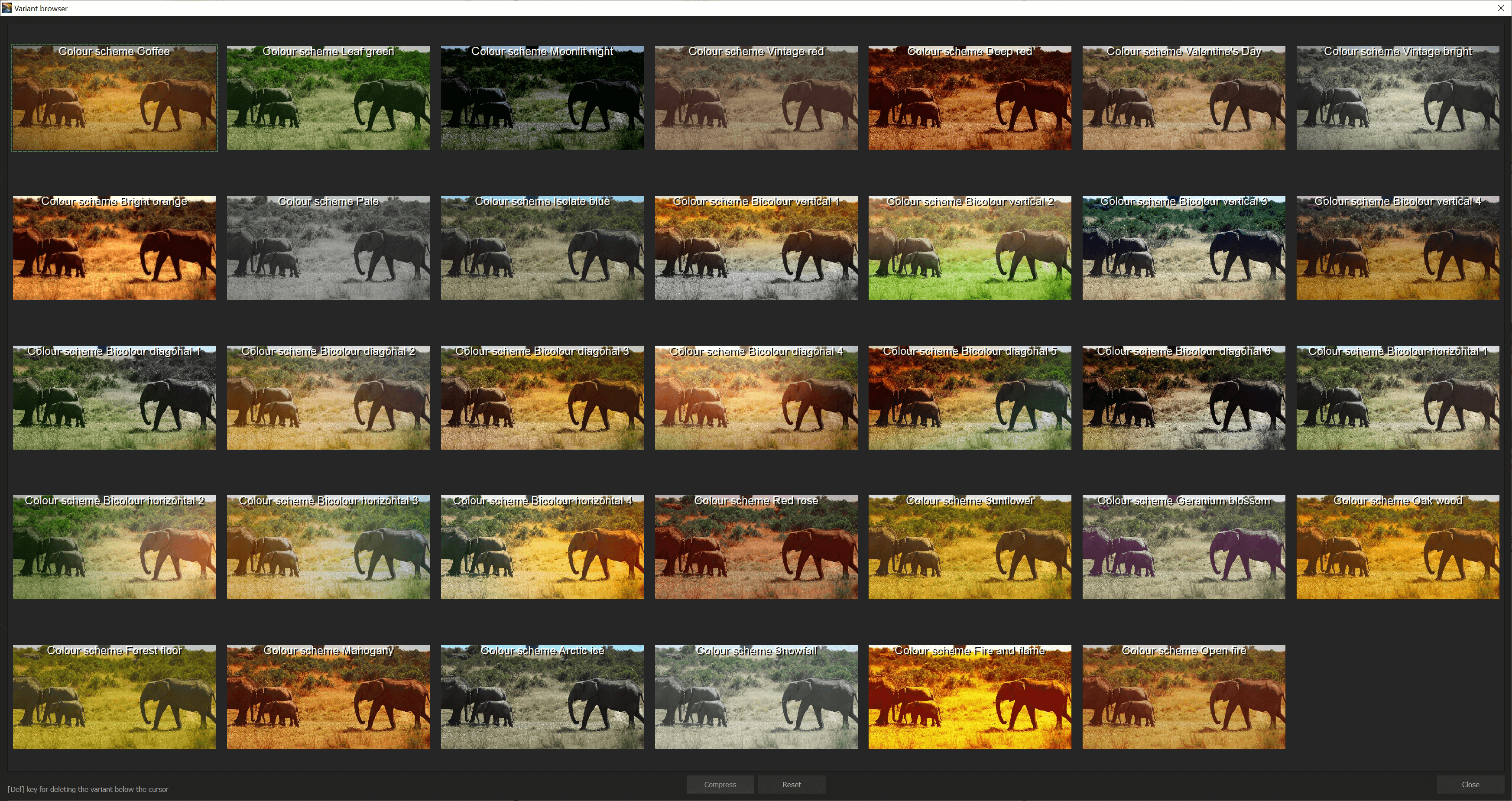 COLOR Video #2 - Browser 