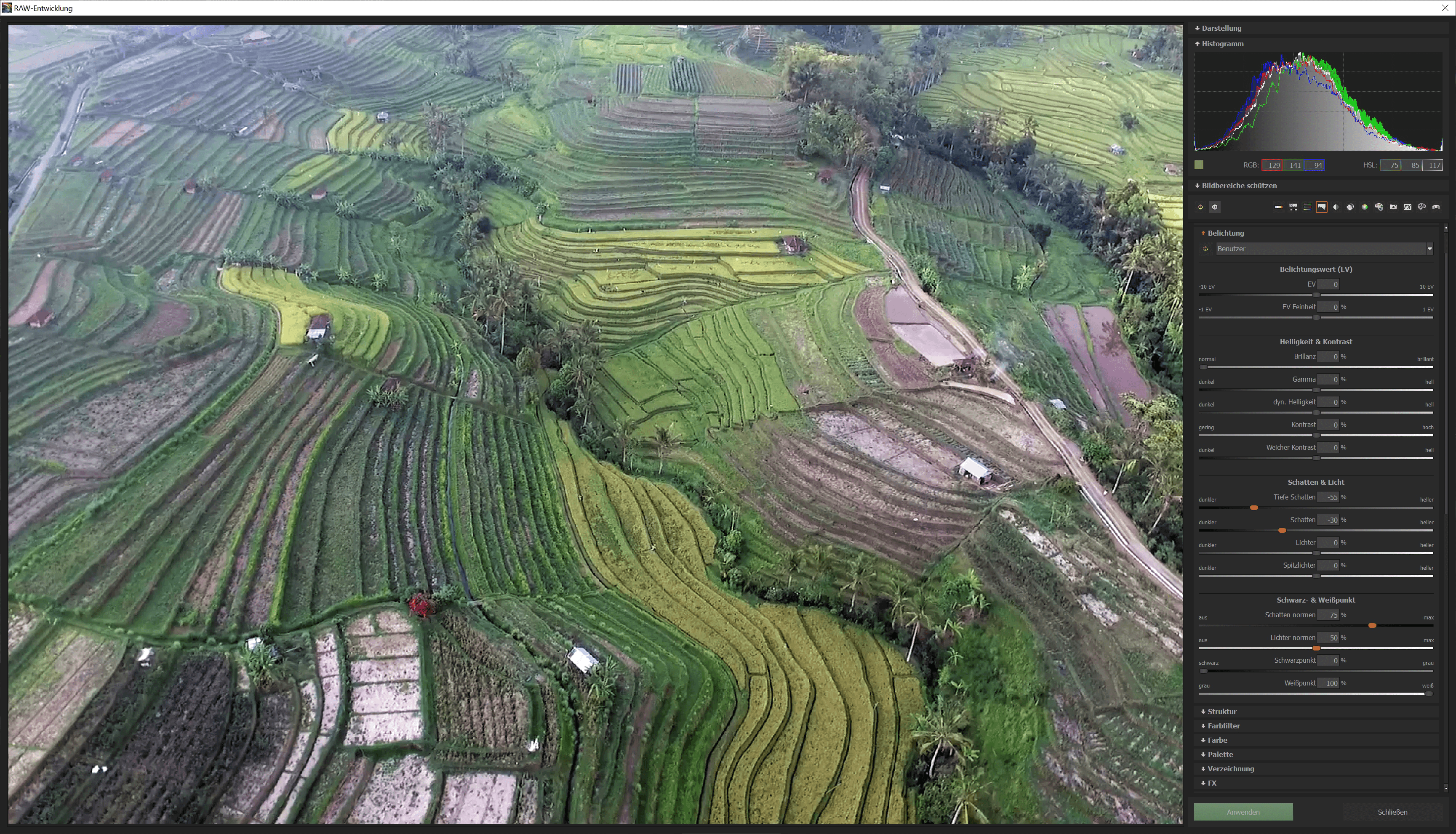 COLOR Video #2 professional - Raw module