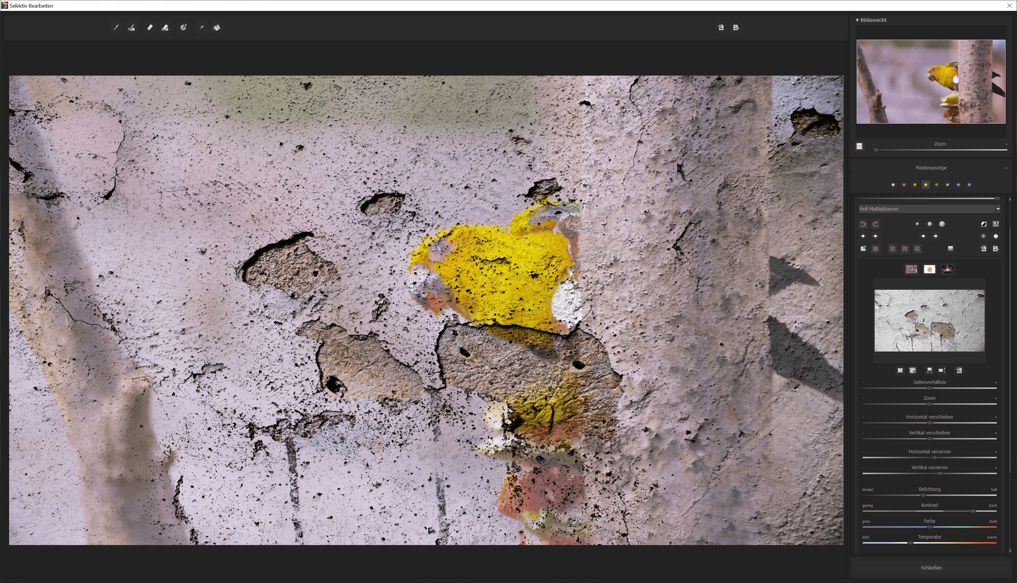 COLOR Video #2 professional - Selective layer