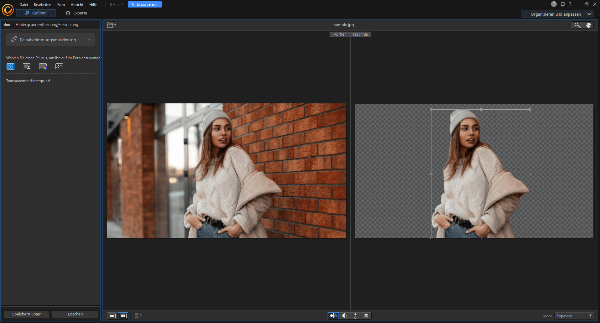 Cyberlink PhotoDirector 2025 Ultra - Hintergrund bearbeiten
