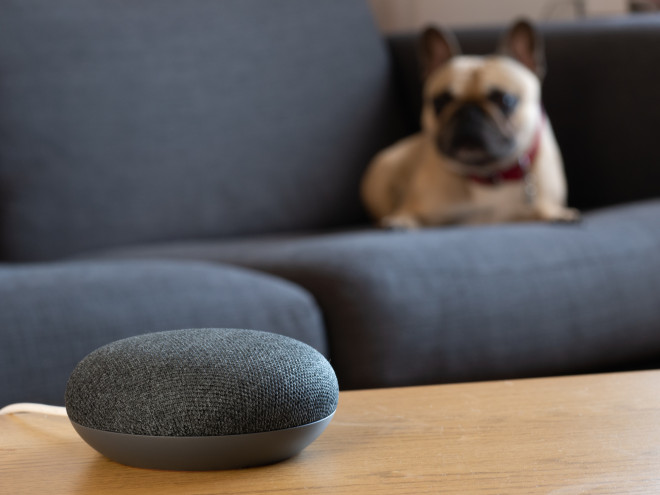 Google Nest Mini in gray