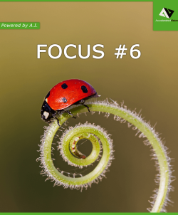 Experience the magic of focus stacking