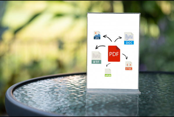 PDF PRO 2