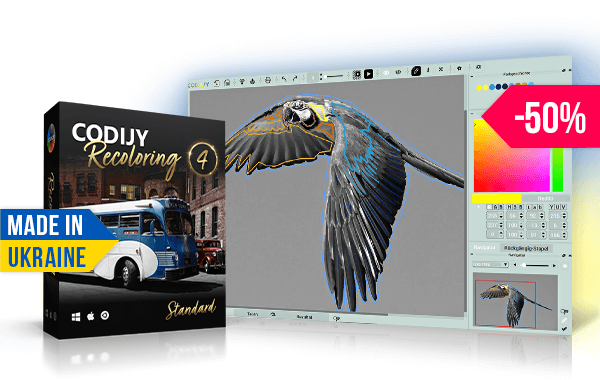 Codiji Recoloring 4 | Turn your black and white photos into stunning color images