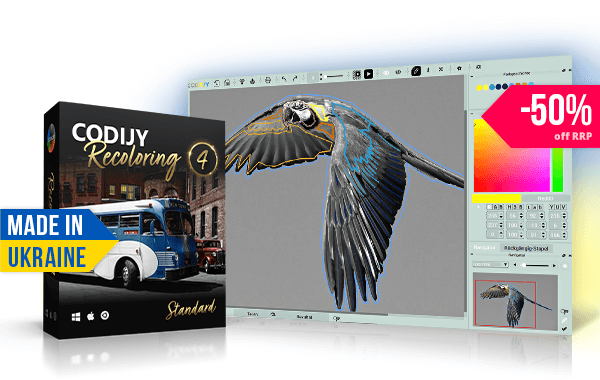 Codiji Recoloring 4 | Turn your black and white photos into stunning color images